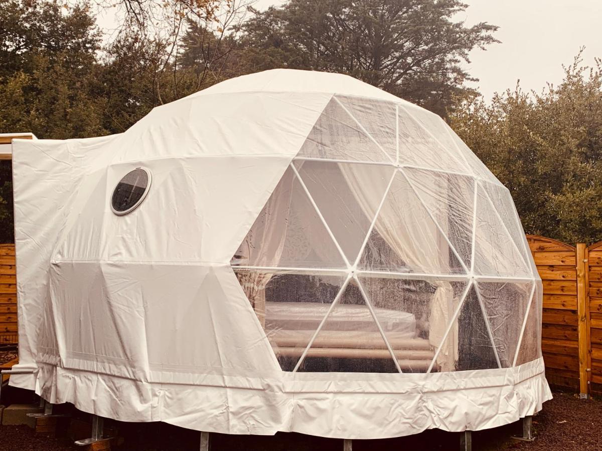 La Bulle Des Coucous Otel Saint-Hilaire-de-Riez Dış mekan fotoğraf